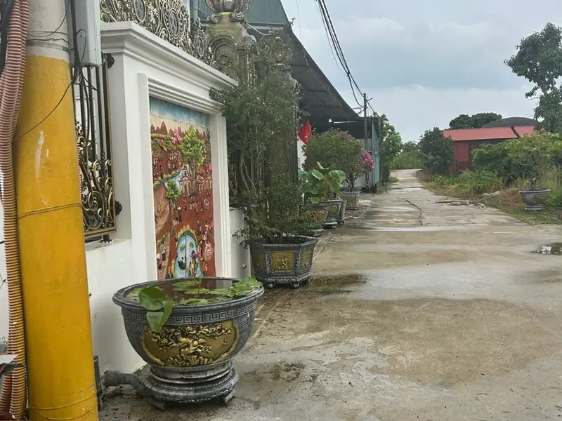 Cơ hội sở hữu lô góc nở hậu tại Thôn Vàng Thông, Gia Bình với giá không thể bỏ qua... Bán đất tại Gia Bình, Bắc Ninh 01