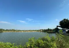 Cơ hội sở hữu quỹ đất gần 1,8 ha tại TDP Đẩu Sơn, Phù Liễn, Kiến An... Bán đất tại Kiến An, Hải Phòng 06