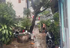 Nhà 1 tầng 58m2 hẻm ba gác Phường Cầu Kiệu giá 5.9 tỷ... Bán nhà riêng tại Cầu Kiệu, Hồ Chí Minh 09