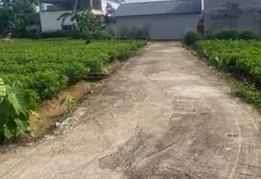 Đất Lô Góc ô tô vào tận nơi, Tiềm Năng Tại Sóc Sơn... Bán đất tại Sóc Sơn, Hà Nội 03