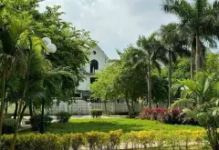 Biệt thự khu B gleximco 240m 4t thô view vườn hoa,giá tốt nhất khu vực... Bán biệt thự, liền kề tại Dương Nội, Hà Nội 01