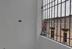 Bán nhà 3 tầng tại xã Nguyễn Văn Linh, Hưng Yên, diện tích 42m², pháp lý đầy đủ... Bán nhà riêng tại Nguyễn Văn Linh, Hưng Yên 11