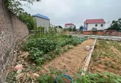 Cơ Hội Vàng Đầu Tư Đất Phân Lô Đẹp Nhất Sóc Sơn!... Bán đất tại Sóc Sơn, Hà Nội 03