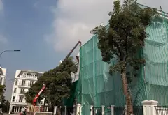 Bán BT thô Euro Window Twin Park - GIA lâm... Bán biệt thự, liền kề tại Gia Lâm, Hà Nội 07