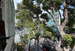 Nhà phố 7 tầng mặt tiền đỉnh giữa lòng Quận 3... Bán nhà mặt phố tại Bàn Cờ, Hồ Chí Minh 11