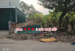 Đất Vàng Nhà Máy Z117 Vị Trí Đắc Địa, Giá Tốt... Bán đất tại Sóc Sơn, Hà Nội 11