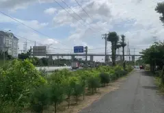 Đất lớn đường Nguyễn Văn Tạo, giá siêu hấp dẫn... Bán đất tại Hiệp Phước, Hồ Chí Minh 04