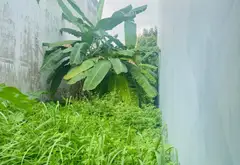Lô Đất Tái Định Cư Long Sơn, Giá Tốt - Vị Trí Đắc Địa... Bán đất tại Long Bình, Hồ Chí Minh 12