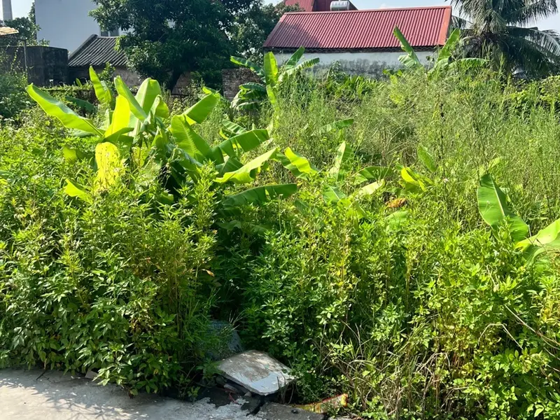 Đất rộng 54,7m2 hướng Đông Bắc gần khu công nghiệp Quán Toan... Bán đất tại Hồng An, Hải Phòng 01