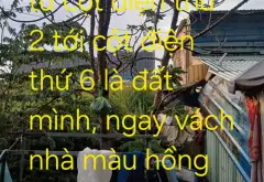 Đất Trồng Cây Tân Túc Giá Tốt - Mặt Tiền Rộng 59m... Bán đất tại Tân Nhựt, Hồ Chí Minh 02