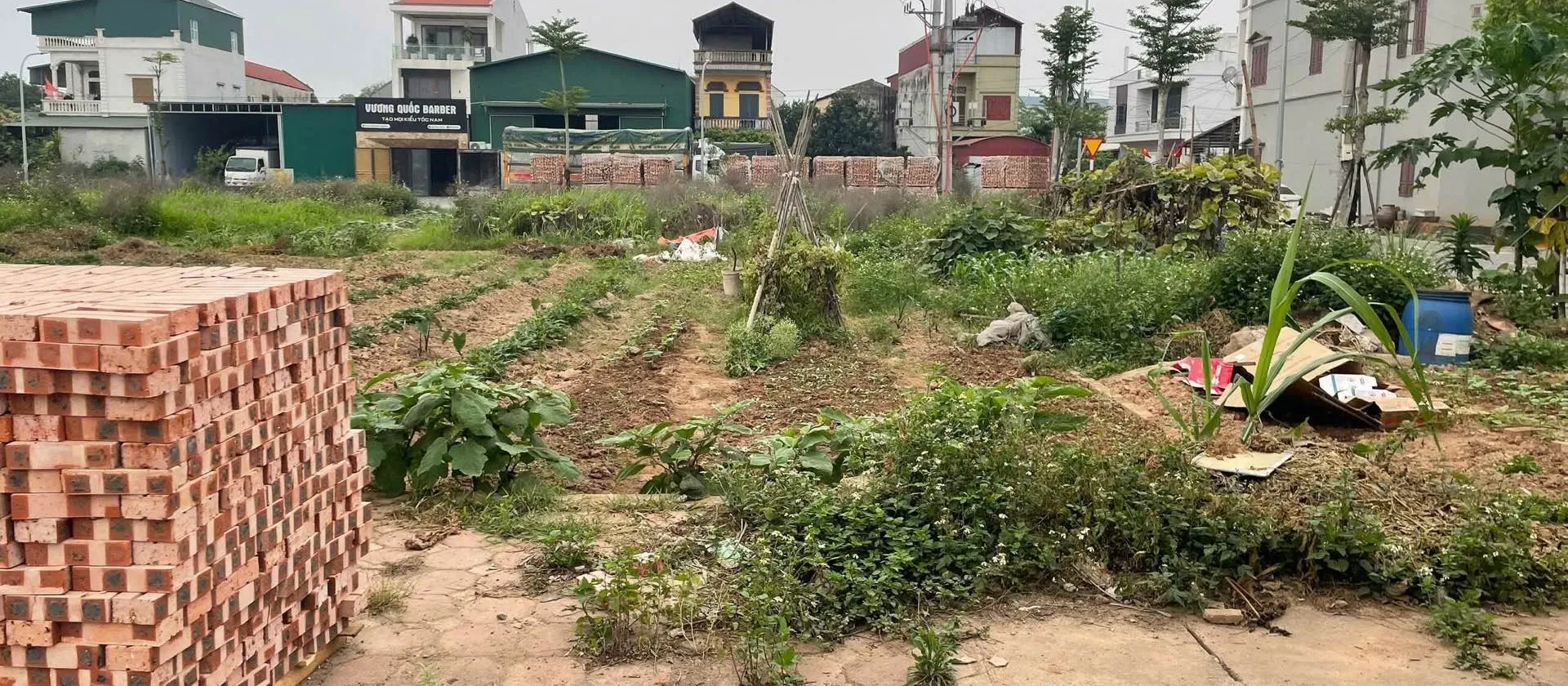 Bán Đất KDC Mới Thôn An Lạc, Diện Tích 95m², Giá 5.5 Tỷ... Bán đất tại Như Quỳnh, Hưng Yên 01
