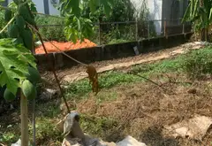 Lô góc rộng 123m² mặt đường Lương Quán, An Dương, cơ hội đầu tư và an cư lý tưởng... Bán đất tại An Dương, Hải Phòng 05