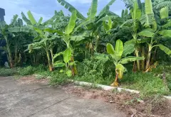 Lô đất Kim Anh vị trí vàng, đầu tư sinh lời cao... Bán đất tại Kim Anh, Hà Nội 01