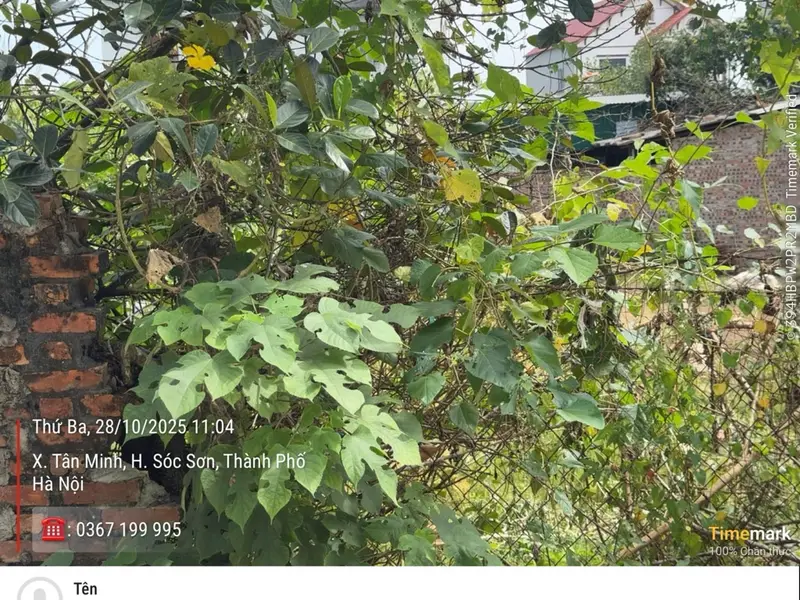 Đất thổ cư trung tâm Sóc Sơn - vị trí đỉnh, đầu tư lời ngay... Bán đất tại Sóc Sơn, Hà Nội 01