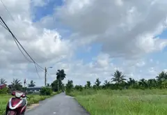 Cơ hội sở hữu lô đất góc thổ cư tuyệt đẹp tại Đồ Sơn... Bán đất tại Đồ Sơn, Hải Phòng 03