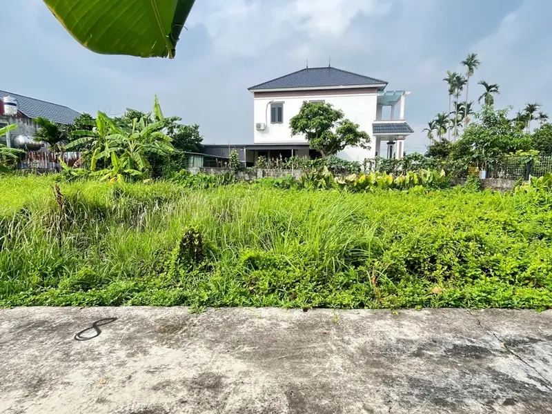 Đất Khu Công Nghiệp Tràng Duệ 3 - Vị Trí Đắc Địa, Giao Thông Thuận Tiện... Bán đất tại An Trường, Hải Phòng 01