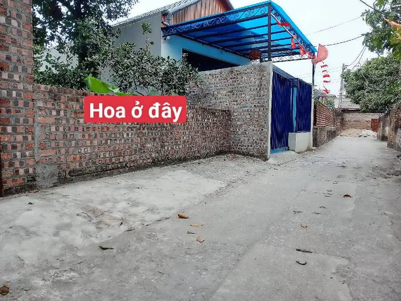 Bán đất thổ cư và đất trồng cây lâu năm tại xã Tiên Dược, Sóc Sơn, ngõ ô tô 5 chỗ... Bán owner_side tại Sóc Sơn, Hà Nội 01