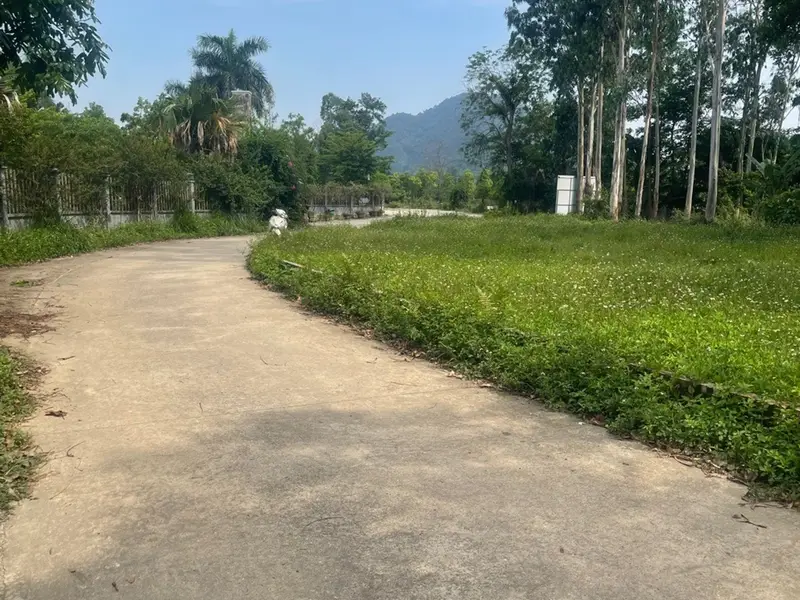 Bán đất thổ cư khu vực Thanh Hà, Trung Giã, Sóc Sơn, Hà Nội... Bán đất tại Trung Giã, Hà Nội 01