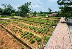 Đất ĐẸP - Ô TÔ TRÁNH - MÀ GIÁ CHỈ HƠN 1 TỶ - BẮC SƠN - TRUNG GIÃ - SÓC SƠN - QUÁ NGON... Bán đất tại Trung Giã, Hà Nội 03