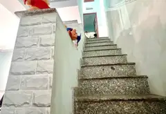 Bán nhà riêng 2 tầng khu vực Linh Chiểu, Thủ Đức, diện tích 56 m2, pháp lý chuẩn... Bán nhà riêng tại Thủ Đức, Hồ Chí Minh 06