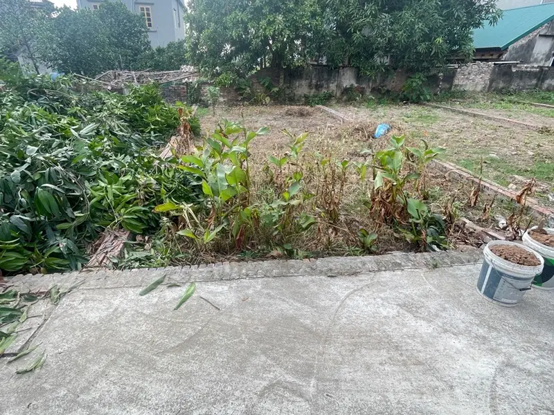 Bán đất thổ cư diện tích 60m2 tại xã Như Quỳnh, Hưng Yên, giá hợp lý 2 tỷ xíu... Bán đất tại Như Quỳnh, Hưng Yên 01