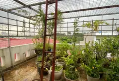 Nhà mặt phố Hồng Bàng, lô góc 3 mặt thoáng, kinh doanh đa năng ngay khu vực hầm chui Nam Bình... Bán nhà mặt phố tại Hồng Bàng, Hải Phòng 14