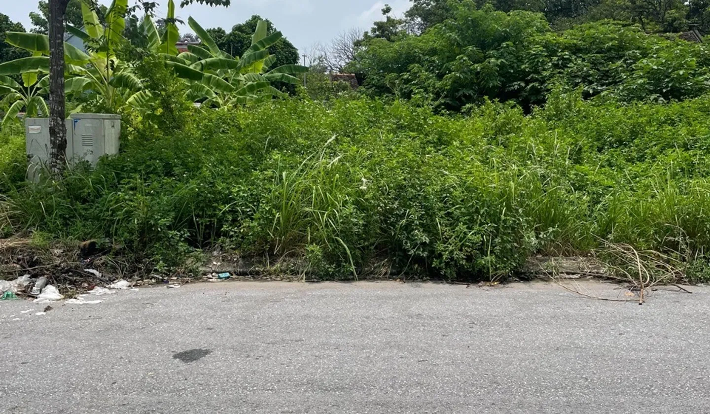 Lô đất mặt tiền siêu rộng, ô tô tải vào tận nơi, đầu tư sinh lời ngay!... Bán đất tại Từ Sơn, Bắc Ninh 01