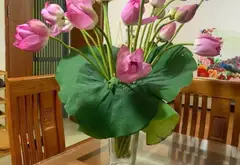 Bán gấp trung cư bộ quốc phòng 64m2 -- 2 ngủ-- giá hơn 3 tỉ ( thương lượng sâu).... Bán căn hộ chung cư tại Tây Tựu, Hà Nội 01