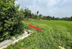 Đất rộng giá hời gần quốc lộ Sóc Sơn, view cánh đồng mát lành... Bán owner_side tại Sóc Sơn, Hà Nội 05
