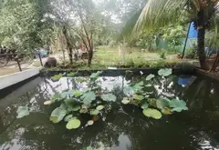 Bán nhà riêng 4 tầng Quận 7 diện tích 54.3m², mặt tiền 4.5m, pháp lý rõ ràng... Bán nhà riêng tại Tân Thuận, Hồ Chí Minh 17