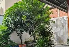 HẺM XE TẢI 6M THÔNG LÊ VĂN KHƯƠNG TÂN THỚI HIỆP Q12 195M² NGANG 11.3M CHỈ 8.99 TỶ... Bán nhà riêng tại Tân Thới Hiệp, Hồ Chí Minh 06