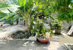Khu Đất Vàng 3 Mặt Hẻm Xe Hơi - Tiềm Năng Sinh Lời Ở Quận 12... Bán nhà riêng tại An Phú Đông, Hồ Chí Minh 07