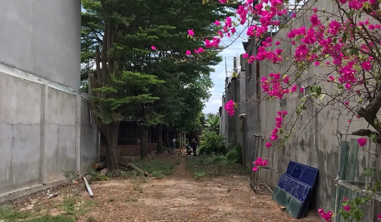 🔥 QUỸ ĐẤT 939,5M² – ĐÔNG THẠNH – CÓ 105M² ĐẤT Ở LÂU DÀI - 9,5 TY🔥... Bán đất tại Đông Thạnh, Hồ Chí Minh 01