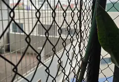 Nhà mặt phố Phương Canh 4 tầng, kinh doanh tốt, giá 10.3 tỷ... Bán nhà mặt phố tại Xuân Phương, Hà Nội 12