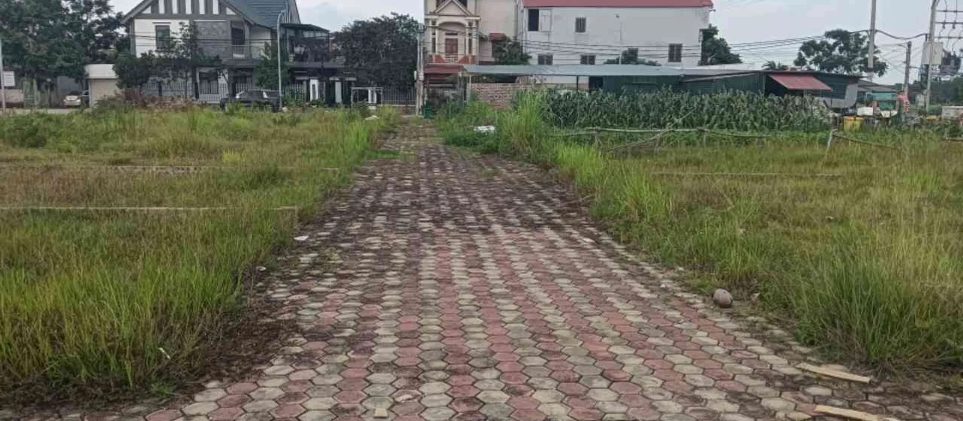 Đất Vàng Đông Lai, Mặt Tiền Rộng, Tiềm Năng Đầu Tư Đỉnh... Bán đất tại Nội Bài, Hà Nội 01