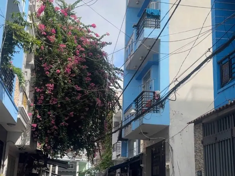 Đất đẹp Bình Tân hẻm ô tô, giá tốt giảm sâu... Bán đất tại Bình Hưng Hòa, Hồ Chí Minh 01