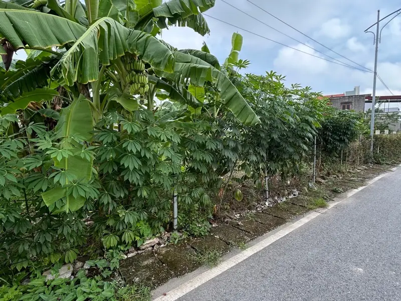 Cơ Hội Sở Hữu Đất Vàng Hoa Động Ô Tô Tránh, Ngõ Thông Siêu Hiếm... Bán đất tại Thủy Nguyên, Hải Phòng 01