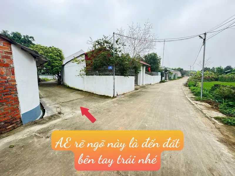 Xuân Đông Tân Minh Sóc Sơn Hà Nội... Bán đất tại Sóc Sơn, Hà Nội 01