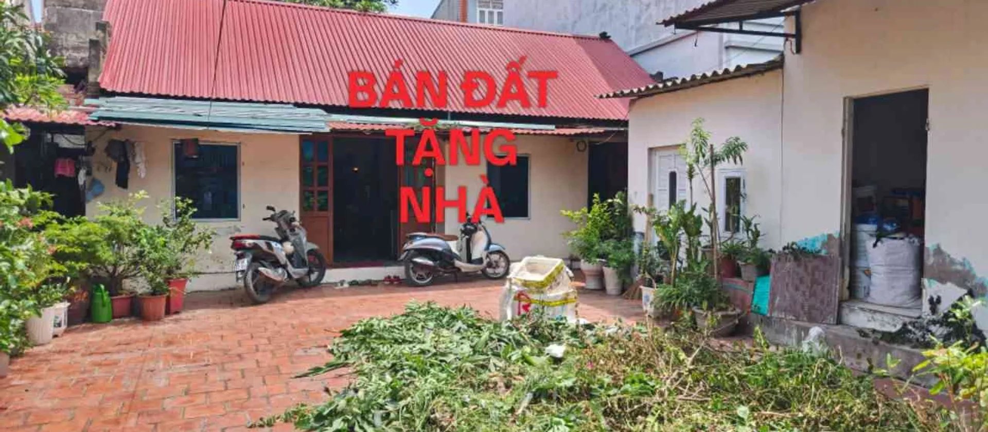 Ngộp quá rồi ,bán đất tặng nhà cấp 4 mát mẻ sạch sẽ... Bán đất tại Yên Phong, Bắc Ninh 01