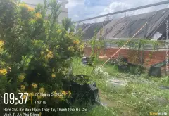Bán Lô đất 318m² đường VÕ THỊ THỪA, phường AN PHÚ ĐÔNG, Q12. Hẻm 8m, giá 9,8,tỷ... Bán đất tại An Phú Đông, Hồ Chí Minh 06