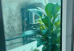 Cơ Hội Sở Hữu Căn Hộ 1PN Trung Tâm Thạch Bàn Giá Tốt... Bán căn hộ chung cư tại Long Biên, Hà Nội 09