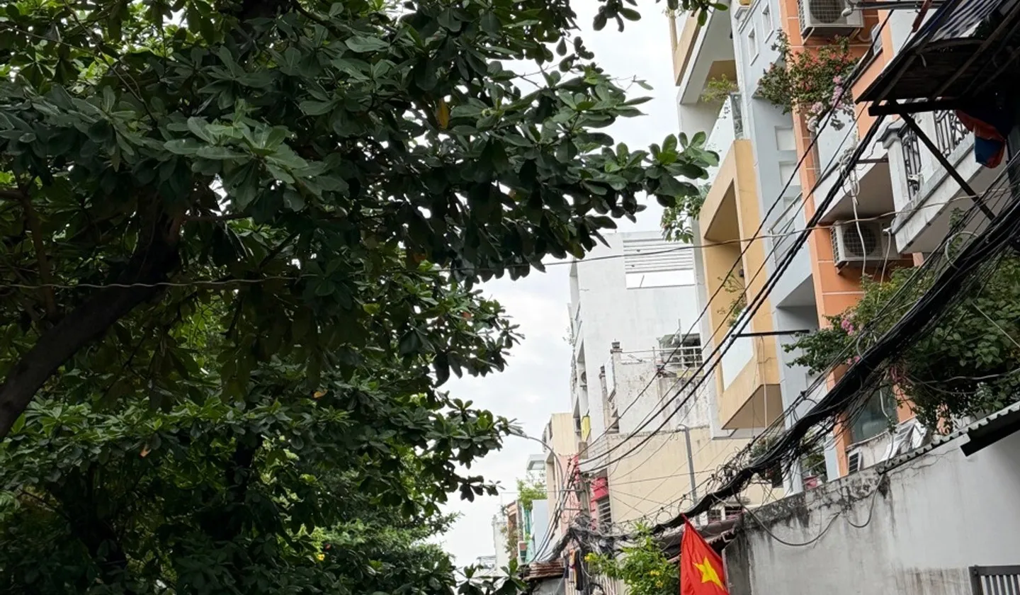 Bán nhà riêng 4 tầng quận 11 diện tích 31m2 giá 5,3 tỷ đồng... Bán nhà riêng tại Phú Thọ, Hồ Chí Minh 01