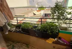 Bán nhà riêng 3 tầng tại phường Hương Lộ với diện tích 16,6 m2 và pháp lý đầy đủ... Bán nhà riêng tại Bình Hưng Hòa, Hồ Chí Minh 12