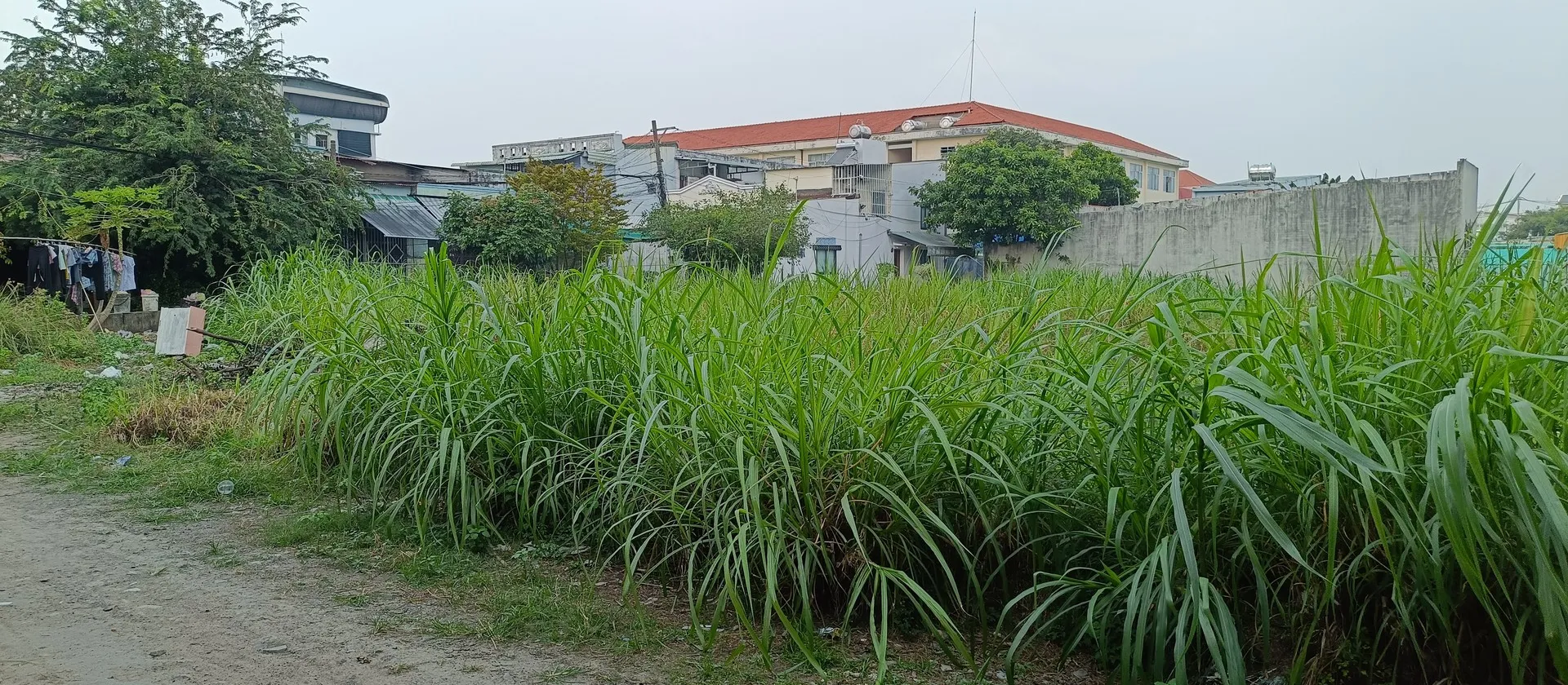 Bán đất Tân Xuân Hóc Môn mặt tiền 5m, diện tích 126m2, sổ hồng riêng... Bán đất tại Hóc Môn, Hồ Chí Minh 01