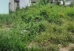 Bán đất thổ cư phường Thạnh Xuân, Quận 12, diện tích 86.4m2, gần mặt tiền Bùi Công Trừng... Bán owner_side tại Thới An, Hồ Chí Minh 09