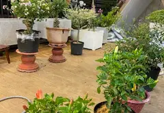 Nhà mặt phố 3 tầng, 48m² tại Quận 6, giá 11.5 tỷ giảm sâu... Bán nhà mặt phố tại Bình Phú, Hồ Chí Minh 11