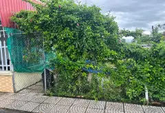 Siêu phẩm đất mặt đường rộng tại Phường Dương Kinh, diện tích 100m²... Bán đất tại Dương Kinh, Hải Phòng 02