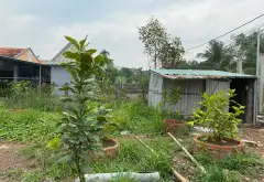 Bán đất mặt sông rộng 1016m2 tại trung tâm xã Bình Lợi... Bán đất tại Bình Lợi, Hồ Chí Minh 04