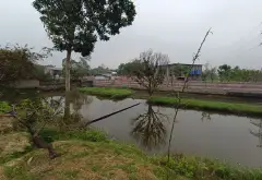 Bán đất 1800m2 tại xã Kim Anh, Hà Nội giá 5,5 triệu/m2... Bán đất tại Kim Anh, Hà Nội 01