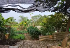 Bán đất lô góc xã Kim Chung, Kim Chung Lỗ, đường xe ô tô tránh, vị trí thuận lợi... Bán đất tại Thiên Lộc, Hà Nội 04